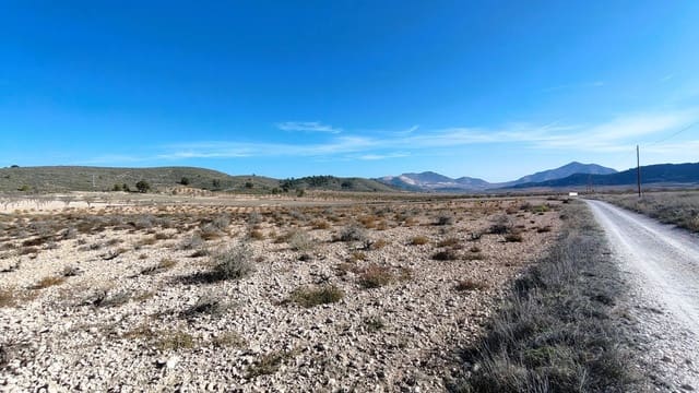 Mark till salu i Jumilla - 149 900 € (Ref: 9387116)