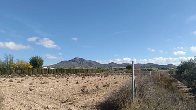 Mark till salu i Salinas - 53 000 € (Ref: 9396817)