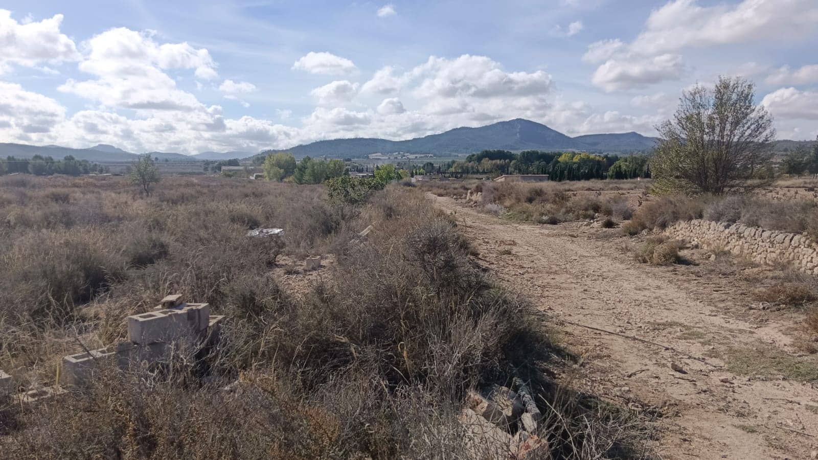 Teren niezagospodarowany na sprzedaż w Salinas - 53 000 € (Ref: 9396817)