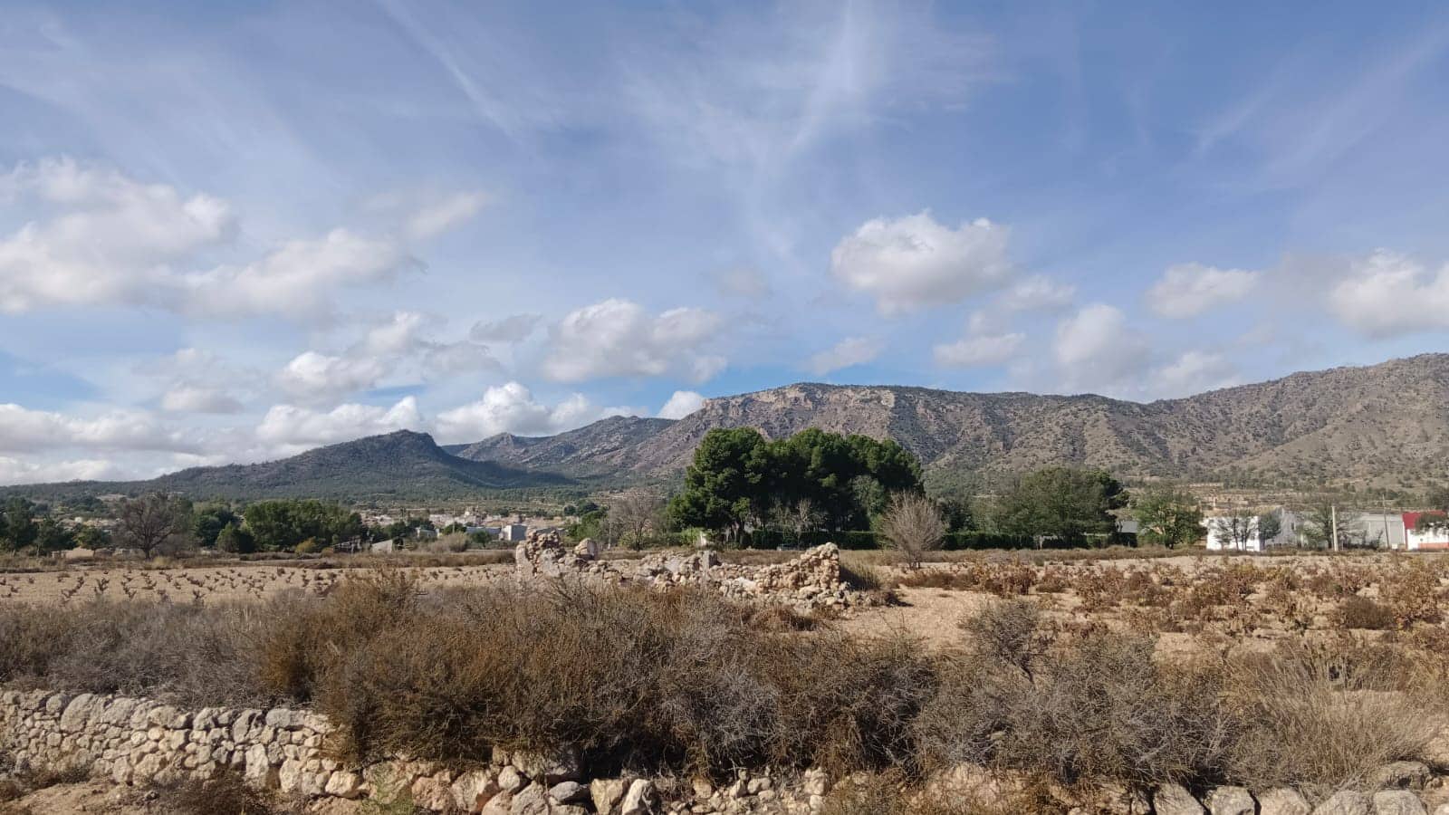 Teren niezagospodarowany na sprzedaż w Salinas - 53 000 € (Ref: 9396817)