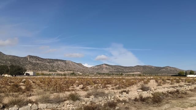 Mark till salu i Salinas - 53 000 € (Ref: 9396817)