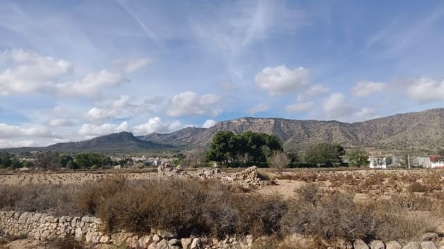 Mark till salu i Salinas - 53 000 € (Ref: 9396817)