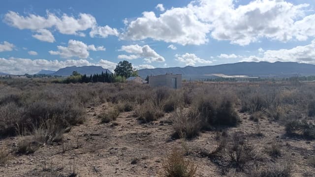 Mark till salu i Salinas - 53 000 € (Ref: 9396817)