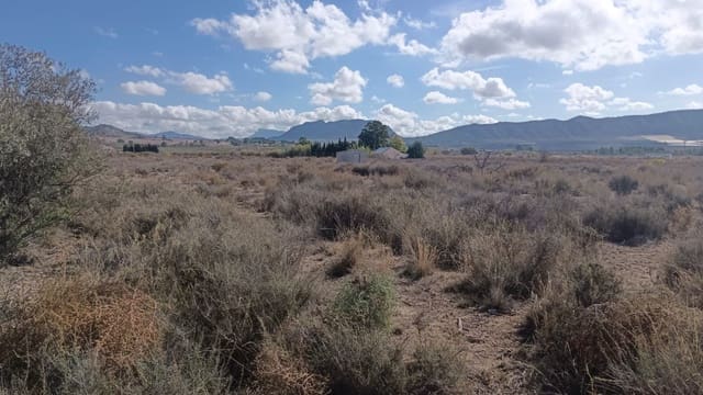 Mark till salu i Salinas - 53 000 € (Ref: 9396817)