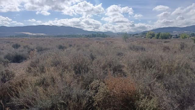 Mark till salu i Salinas - 53 000 € (Ref: 9396817)