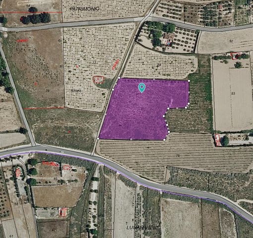 Mark till salu i Salinas - 53 000 € (Ref: 9396817)