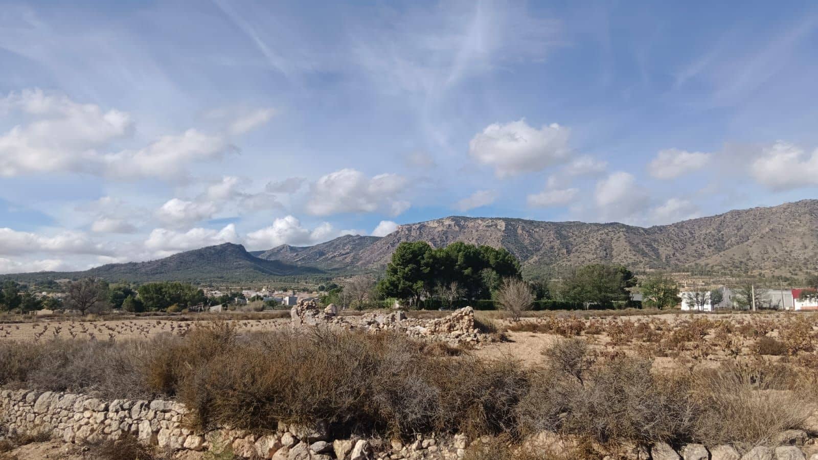 Undeveloped Land for sale in Salinas - € 53,000 (Ref: 9396817)