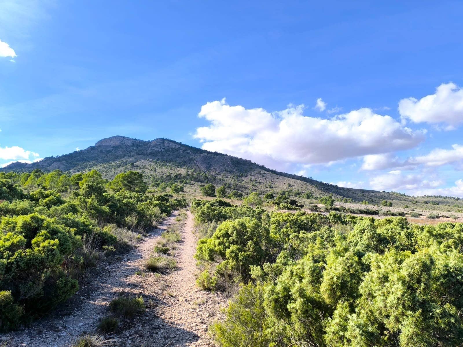 5 sypialnia Finka/Dom wiejski na sprzedaż w Yecla z basenem garażem - 70 000 € (Ref: 9407037)