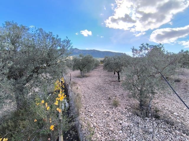 5 sypialnia Finka/Dom wiejski na sprzedaż w Yecla z basenem garażem - 79 995 € (Ref: 9407037)