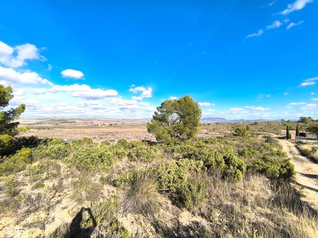 5 sypialnia Finka/Dom wiejski na sprzedaż w Yecla z basenem garażem - 79 995 € (Ref: 9407037)