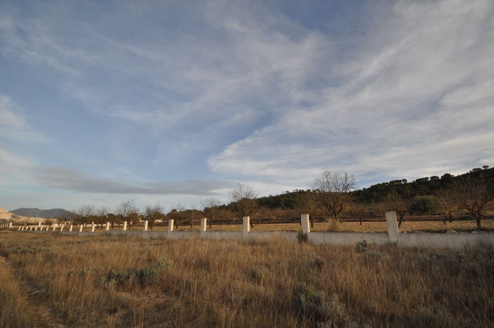 Terreno Não Urbanizado para venda em Canada de la Lena - 28 999 € (Ref: 9413462)