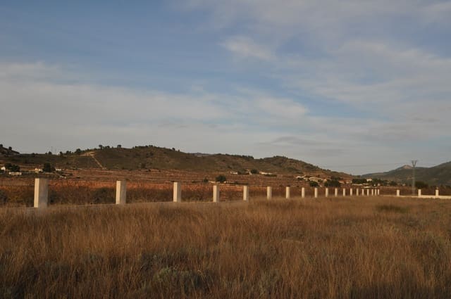 Grunde uden byggetilladelser til salg i Cañada de la Lena, Abanilla - € 28.999 (Ref: 9413462)