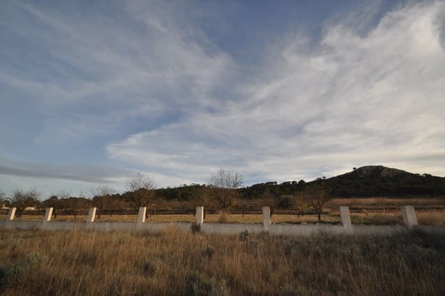 Grunde uden byggetilladelser til salg i Cañada de la Lena, Abanilla - € 28.999 (Ref: 9413462)