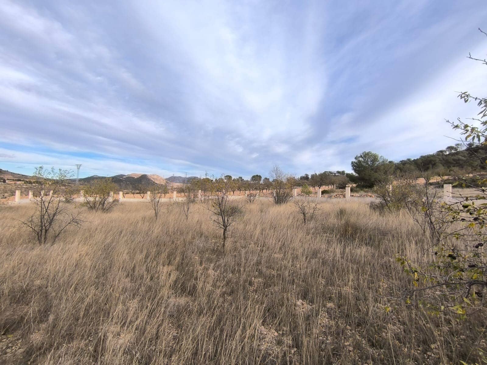 Terreno Não Urbanizado para venda em Canada de la Lena - 28 999 € (Ref: 9413462)