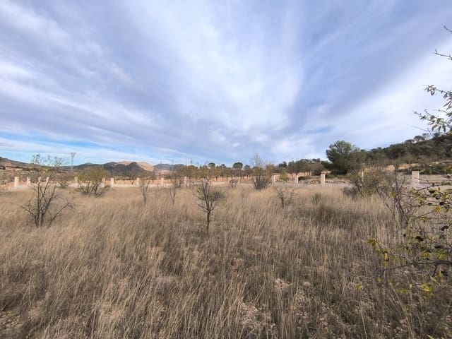 Grunde uden byggetilladelser til salg i Cañada de la Lena, Abanilla - € 28.999 (Ref: 9413462)