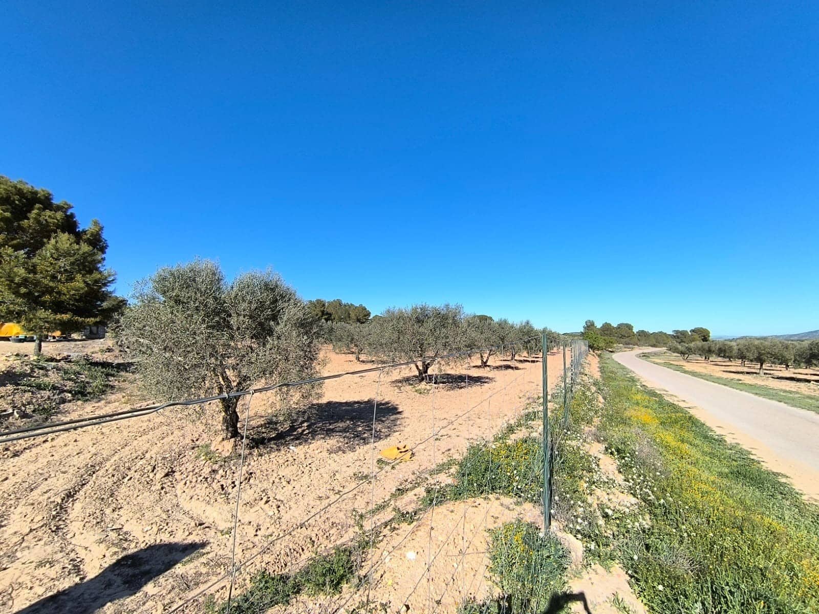 3 sypialnia Finka/Dom wiejski na sprzedaż w Yecla z garażem - 75 000 € (Ref: 9436552)