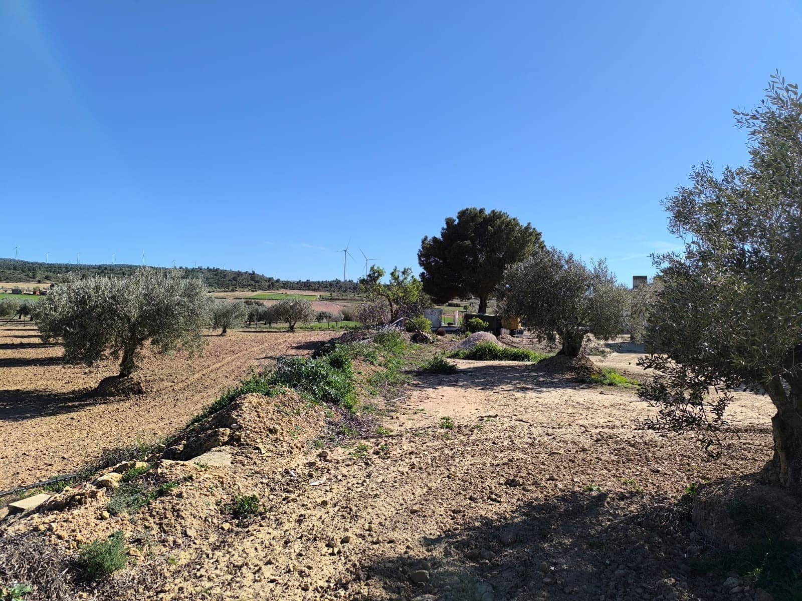 3 sypialnia Finka/Dom wiejski na sprzedaż w Yecla z garażem - 75 000 € (Ref: 9436552)