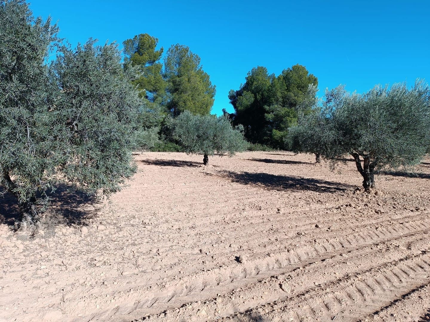 3 chambre Finca/Maison de Campagne à vendre à Yecla avec garage - 75 000 € (Ref: 9436552)