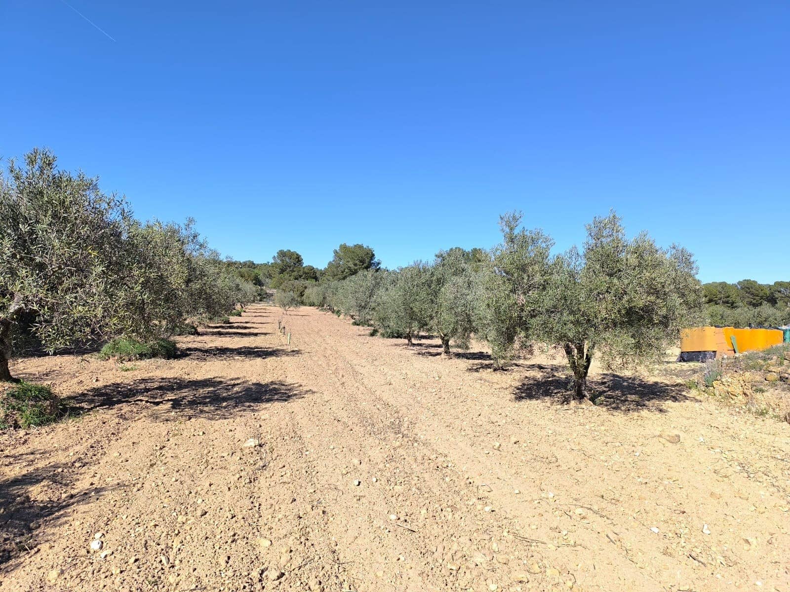 3 chambre Finca/Maison de Campagne à vendre à Yecla avec garage - 75 000 € (Ref: 9436552)