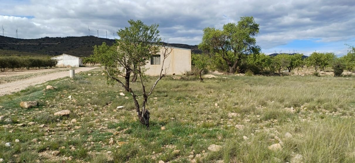 3 chambre Finca/Maison de Campagne à vendre à Caudete avec piscine garage - 89 990 € (Ref: 9441672)