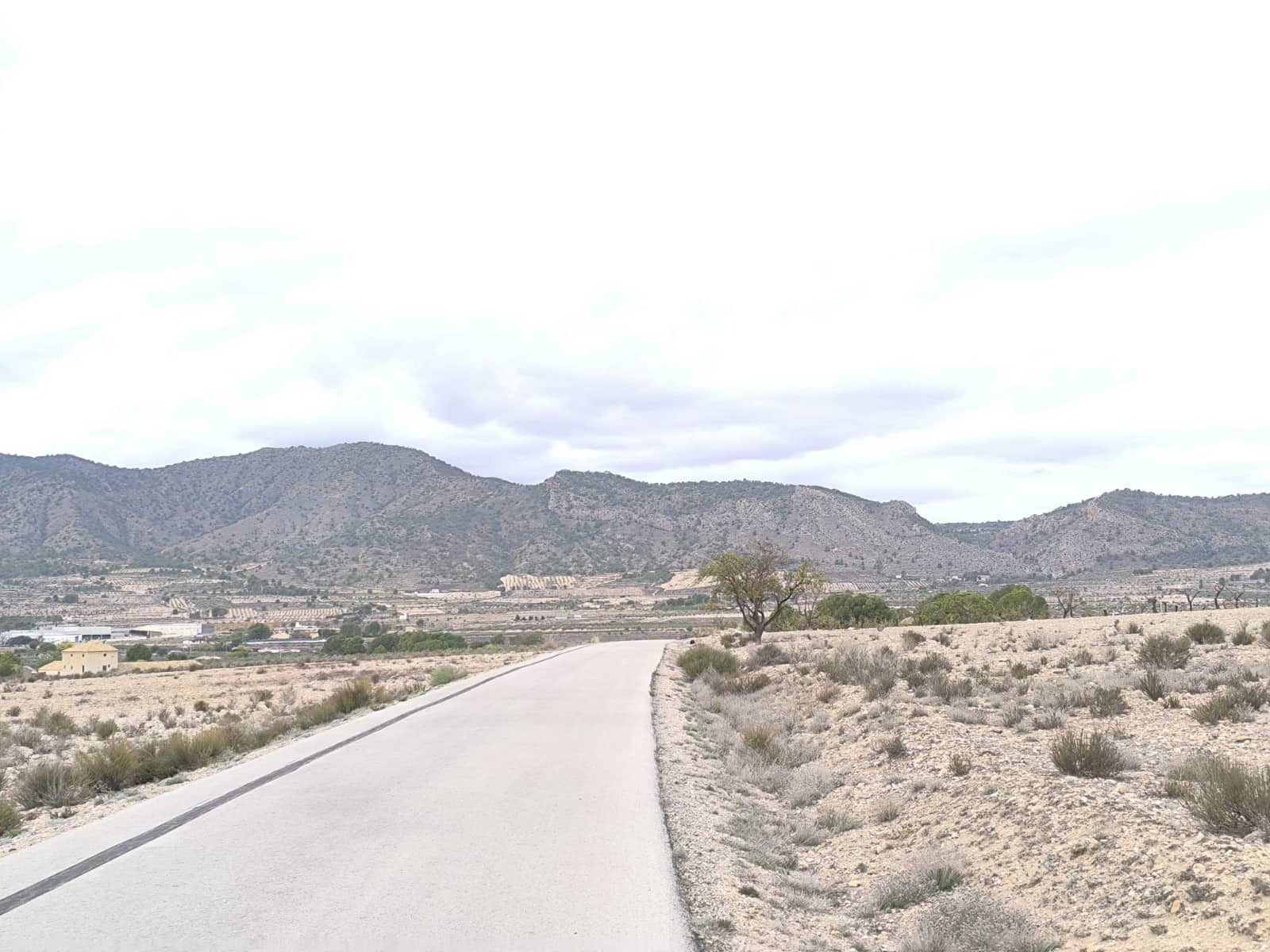 Grunde uden byggetilladelser til salg i Salinas - € 45.995 (Ref: 9444965)