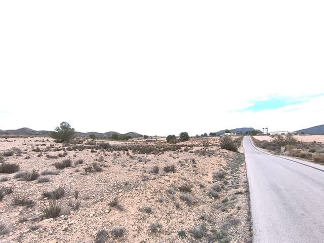 Rakentamaton maa myytävänä paikassa Salinas - 45 995 € (Ref: 9444965)