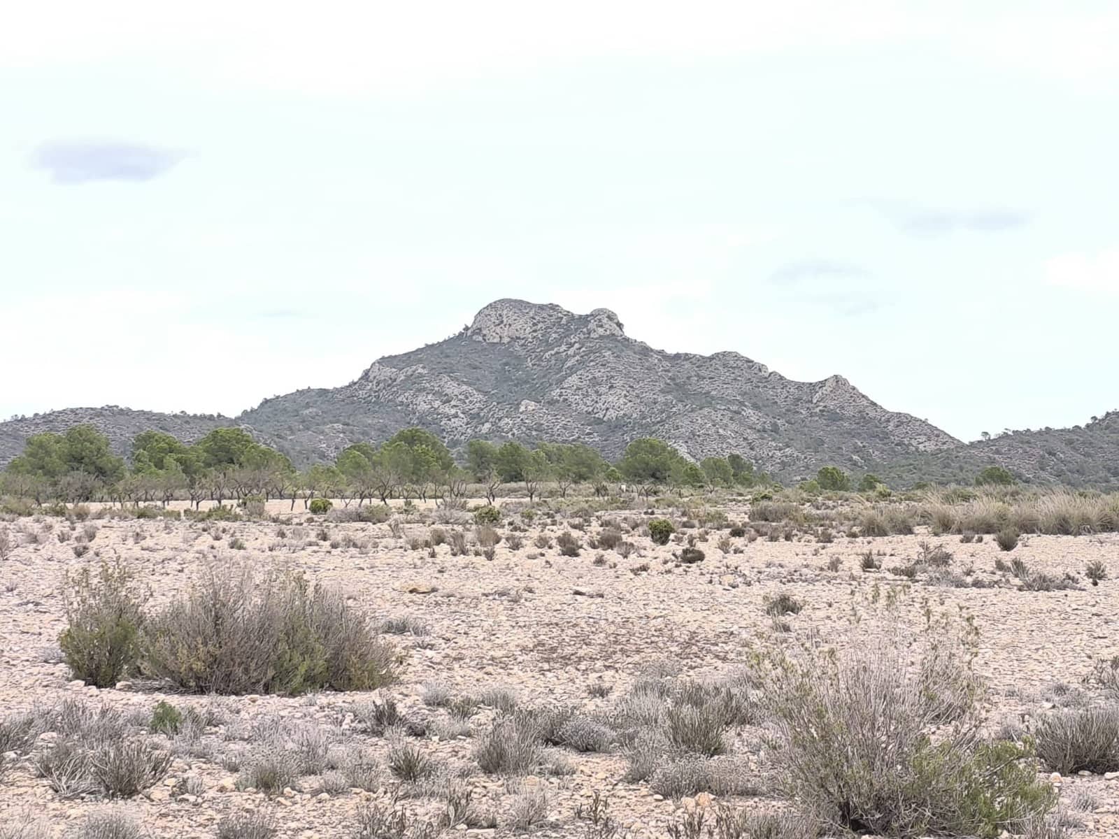 Grunde uden byggetilladelser til salg i Salinas - € 45.995 (Ref: 9444965)