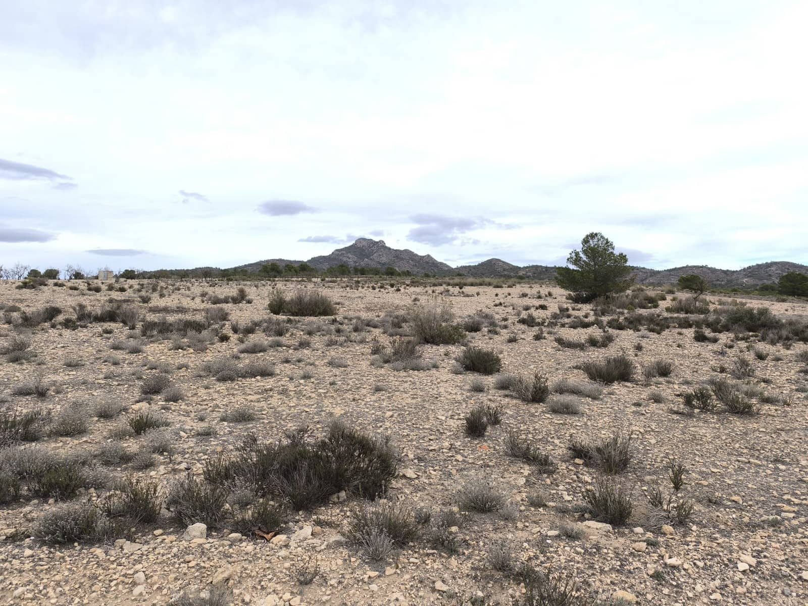 Grunde uden byggetilladelser til salg i Salinas - € 45.995 (Ref: 9444965)