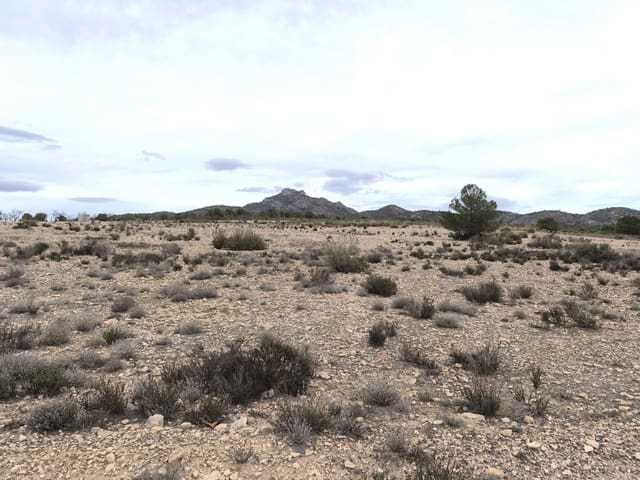 Rakentamaton maa myytävänä paikassa Salinas - 45 995 € (Ref: 9444965)