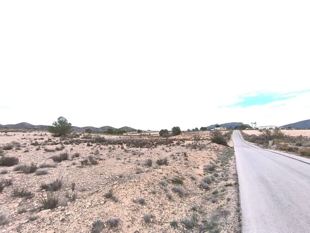 Terreno Non Edificato in vendita in Salinas - 45.995 € (Rif: 9444965)