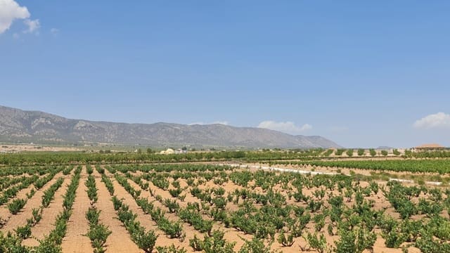 3 bedroom Villa for sale in Pinoso with pool - € 349,995 (Ref: 9447421)