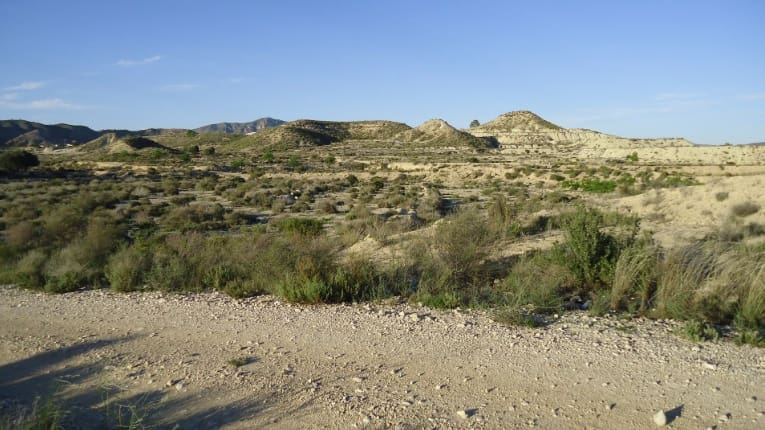 Mark till salu i Abanilla - 16 000 € (Ref: 9449706)