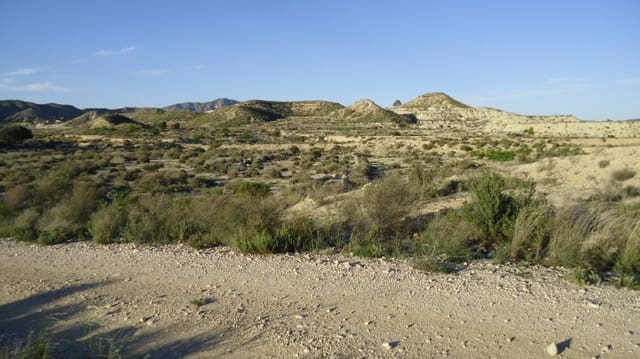 Terreno Não Urbanizado para venda em Abanilla - 16 000 € (Ref: 9449706)