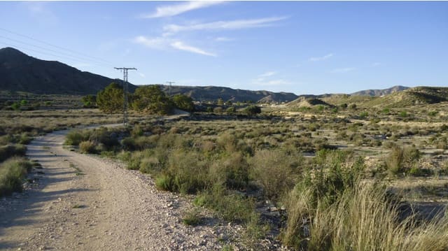 Terreno Não Urbanizado para venda em Abanilla - 16 000 € (Ref: 9449706)