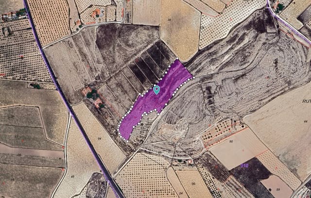 Terreno Não Urbanizado para venda em Pinoso - 49 995 € (Ref: 9450498)