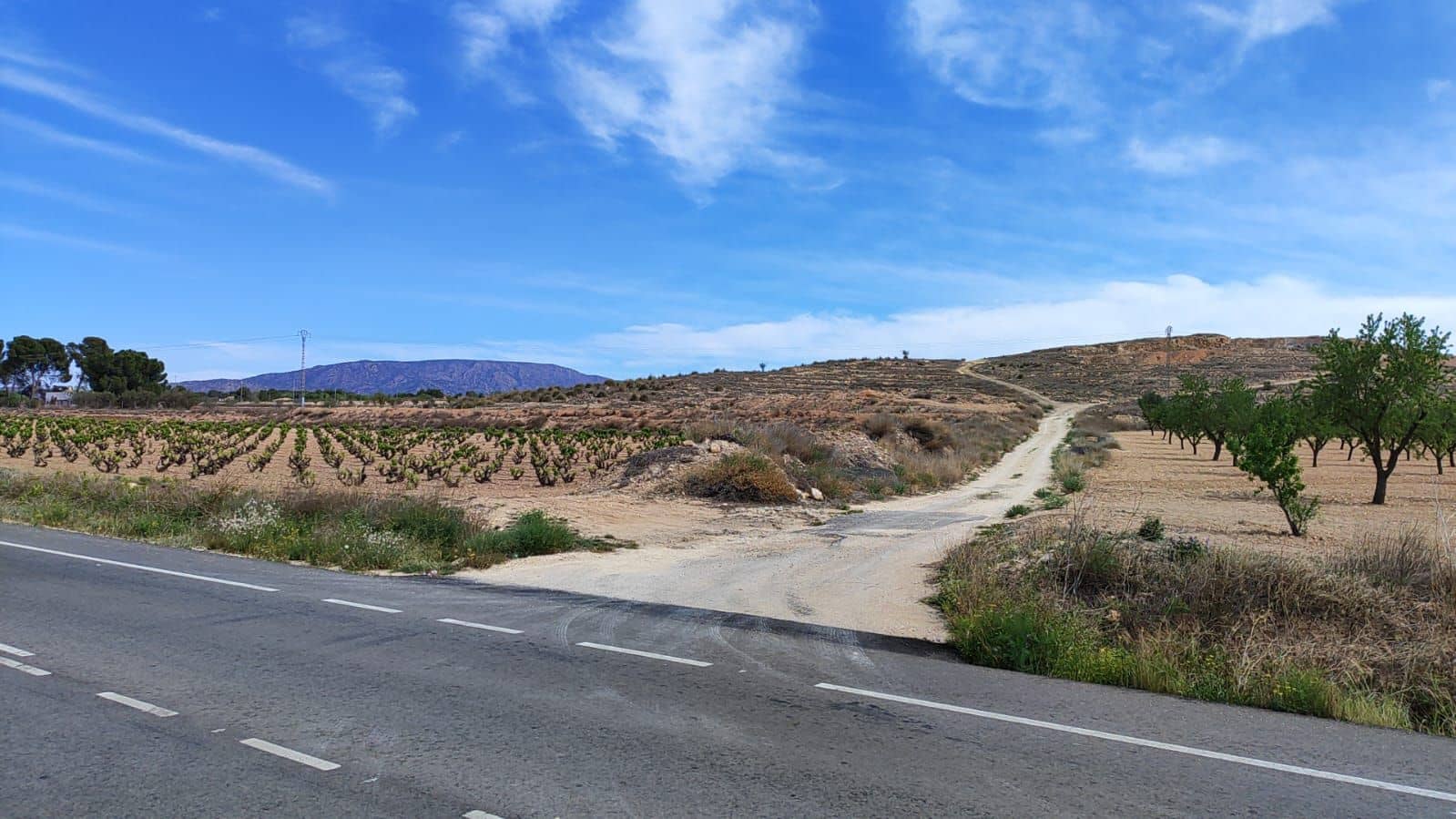 Undeveloped Land for sale in Pinoso - € 49,995 (Ref: 9450498)