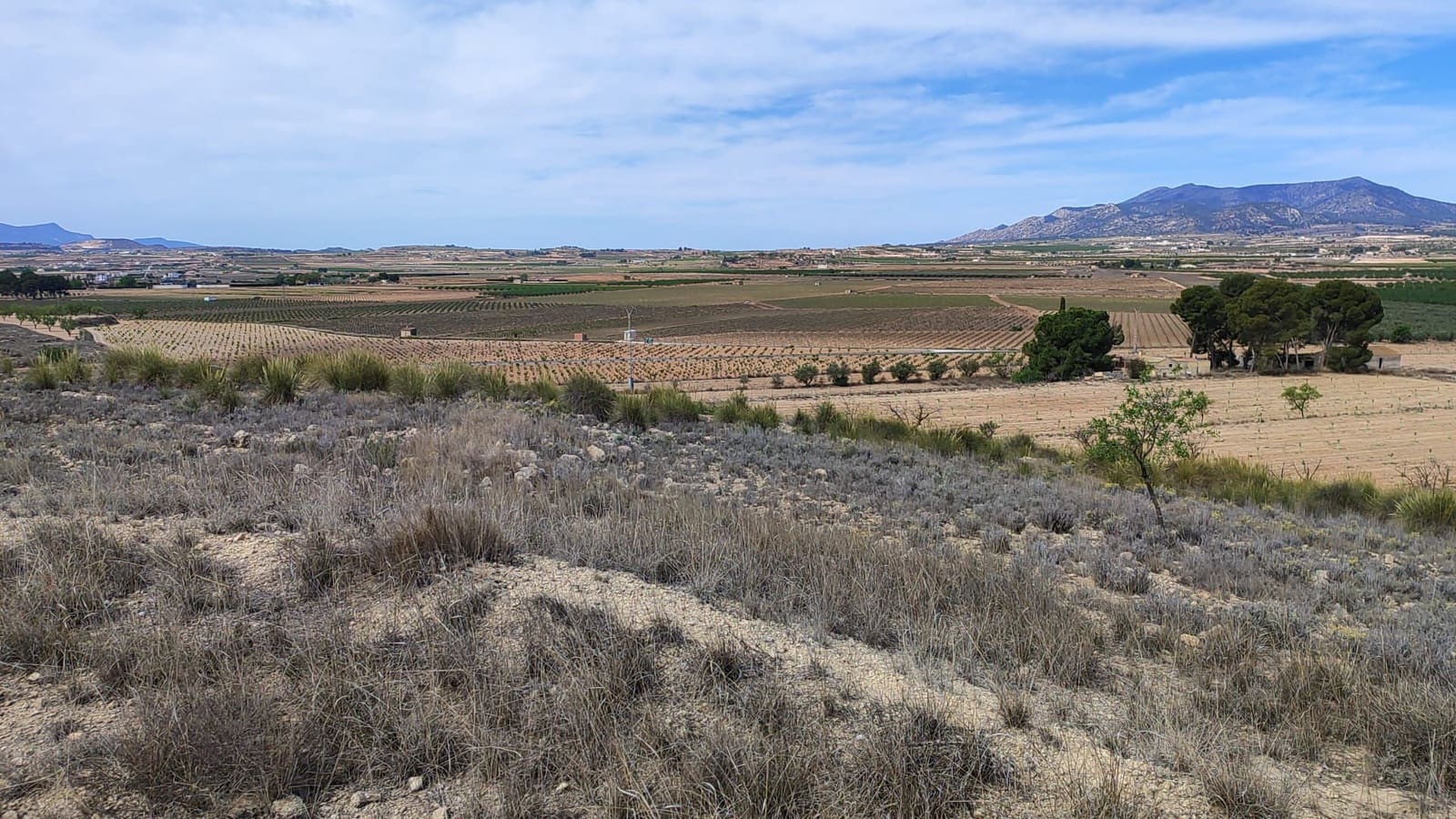 Undeveloped Land for sale in Pinoso - € 49,995 (Ref: 9450498)