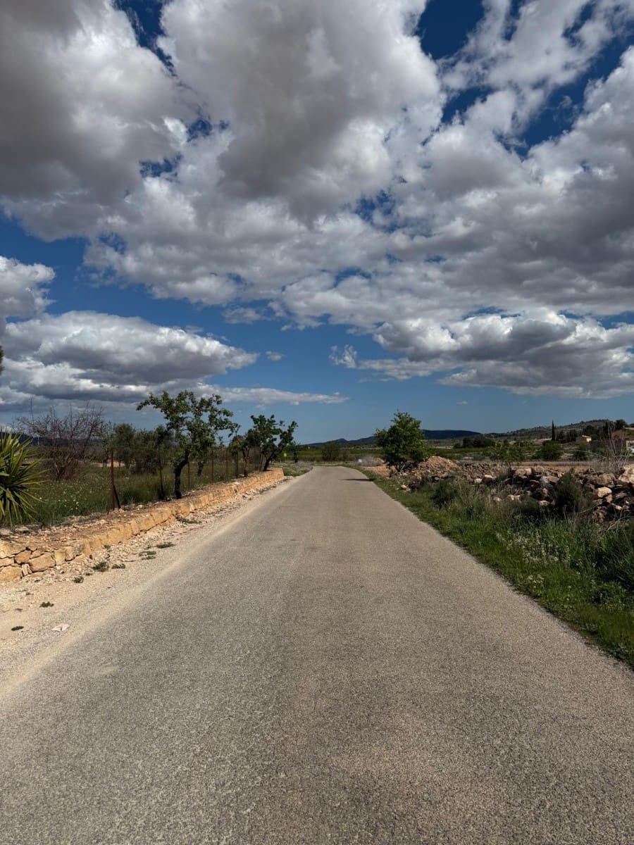 Teren niezagospodarowany na sprzedaż w Pinoso - 42 000 € (Ref: 9450555)