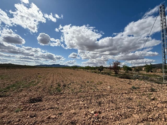 Terreno Não Urbanizado para venda em Pinoso - 42 000 € (Ref: 9450555)