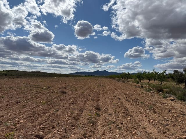 Terreno Não Urbanizado para venda em Pinoso - 42 000 € (Ref: 9450555)