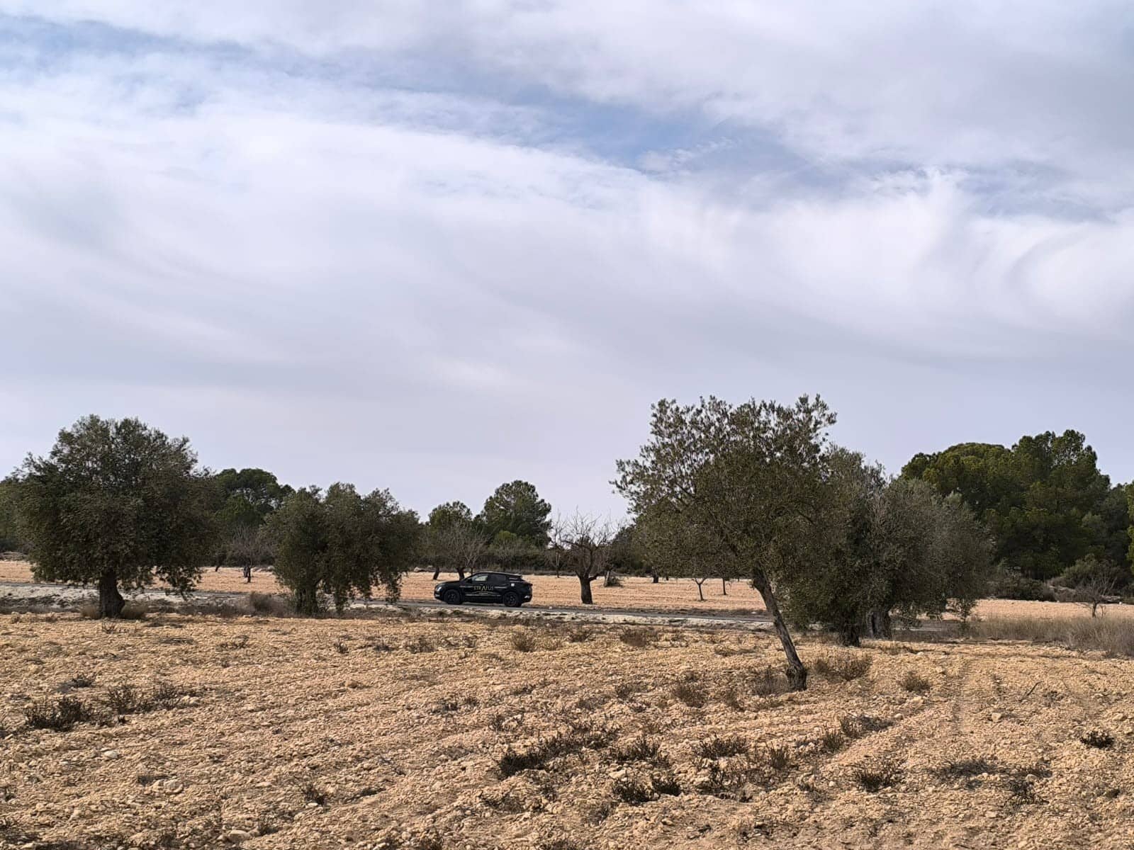 3 chambre Villa/Maison à vendre à Monovar / Monover avec piscine - 359 999 € (Ref: 9462631)