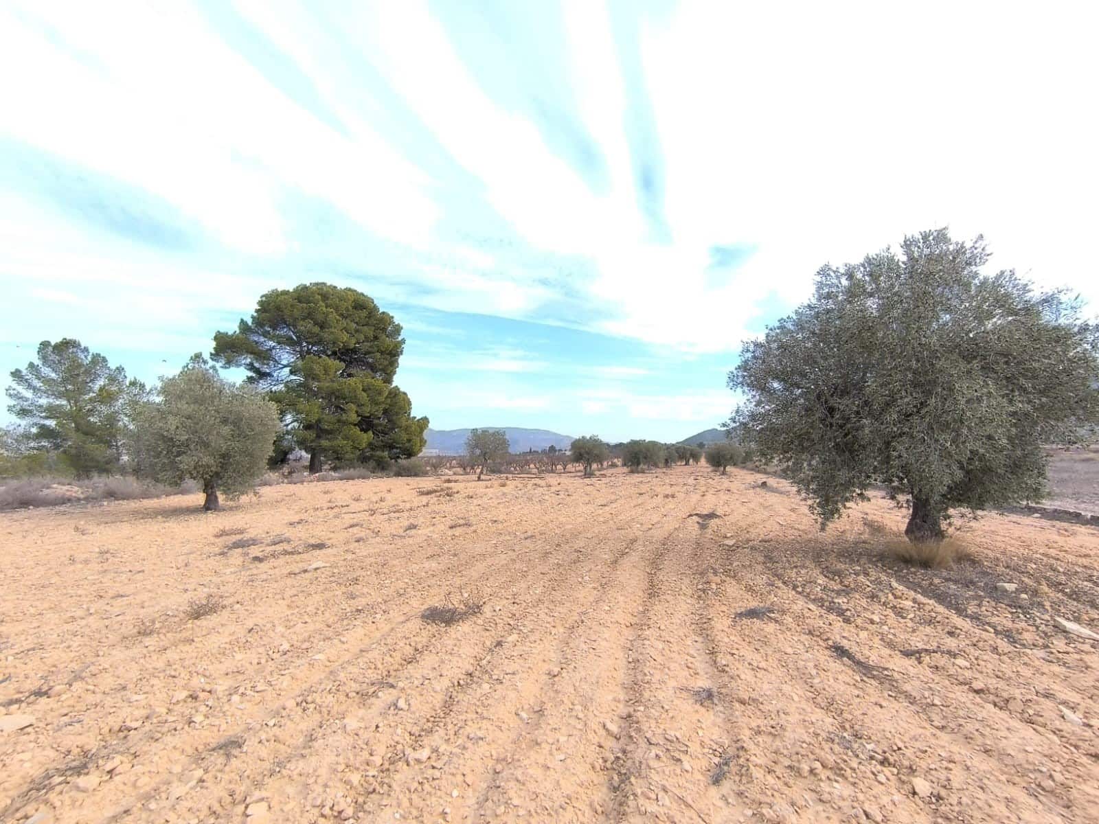 3 chambre Villa/Maison à vendre à Monovar / Monover avec piscine - 359 999 € (Ref: 9462631)