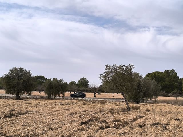 3 chambre Villa/Maison à vendre à Monóvar / Monóver avec piscine - 359 999 € (Ref: 9462631)