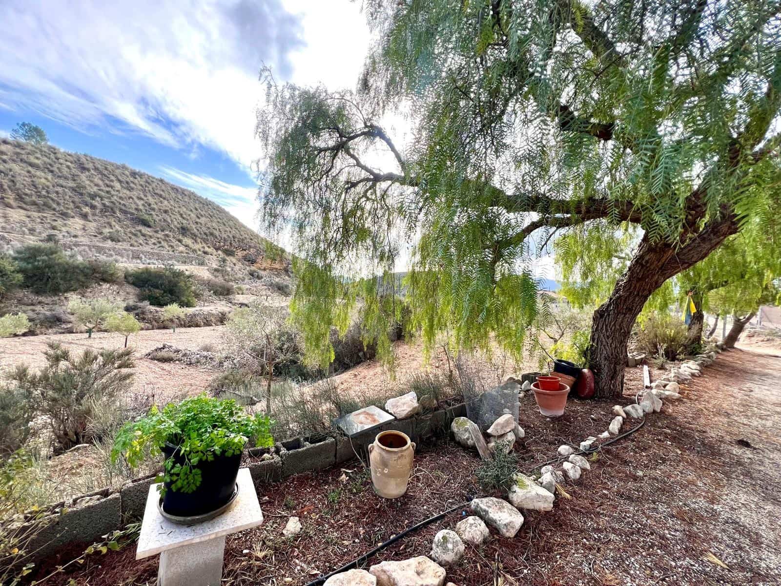 3 camera da letto Finca/Casa di Campagna in vendita in Monovar / Monover con garage - 136.500 € (Rif: 9466173)