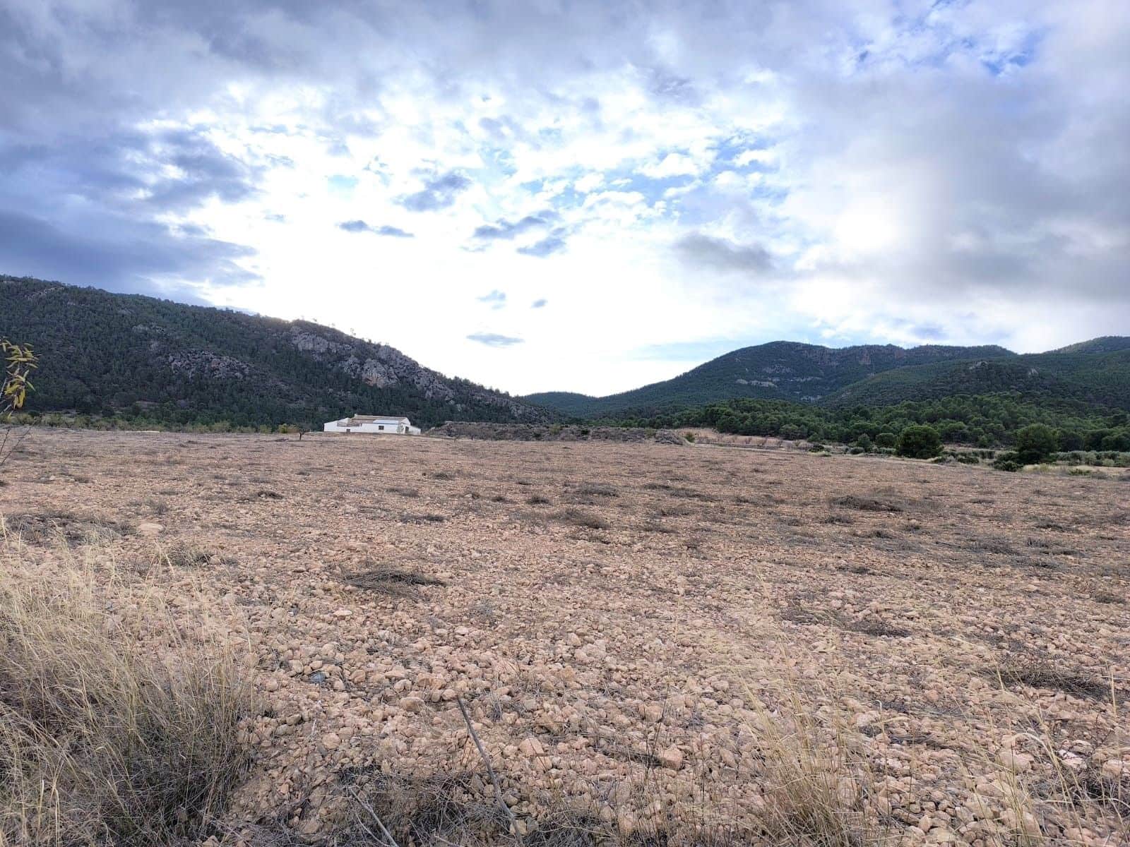 5 bedroom Finca/Country House for sale in Yecla with garage - € 2,400,000 (Ref: 9471111)