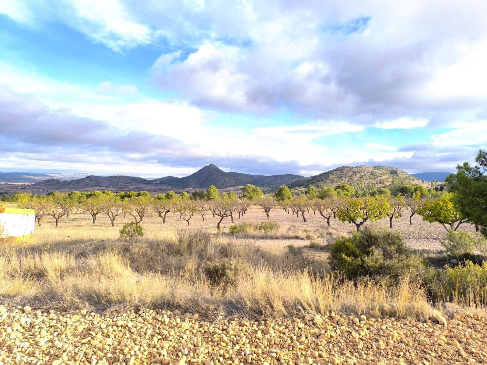 5 bedroom Finca/Country House for sale in Yecla with garage - € 2,400,000 (Ref: 9471111)