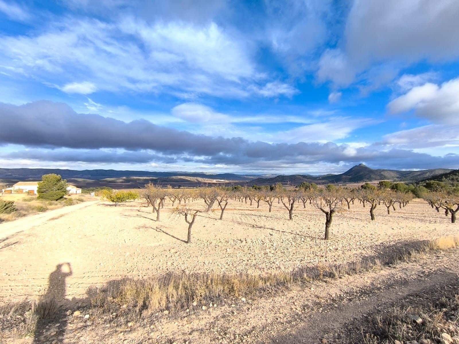 5 bedroom Finca/Country House for sale in Yecla with garage - € 2,400,000 (Ref: 9471111)