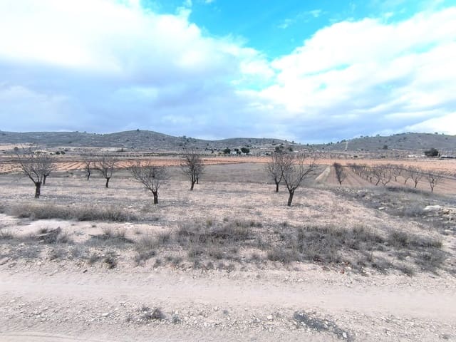 Terre non Aménagée à vendre à L'Algueña / Alguenya - 25 900 € (Ref: 9471803)
