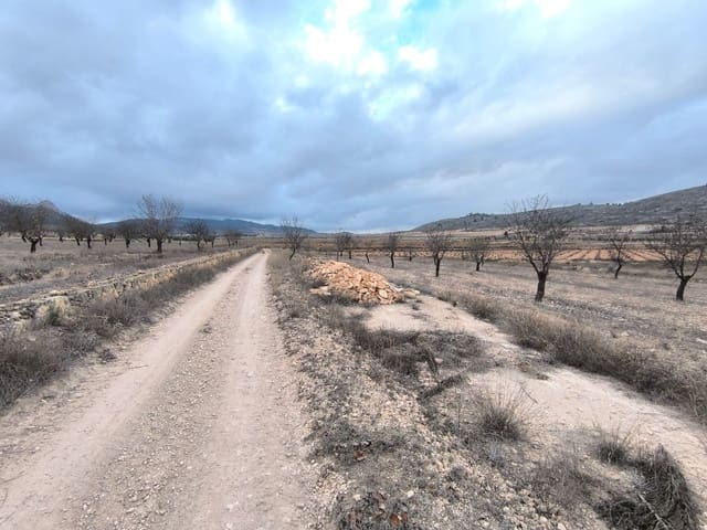 Mark till salu i L'Algueña / Alguenya - 25 900 € (Ref: 9471803)