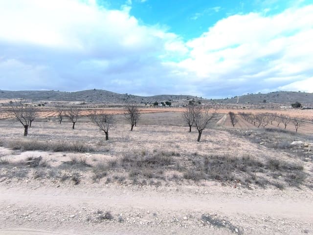 Mark till salu i L'Algueña / Alguenya - 25 900 € (Ref: 9471803)